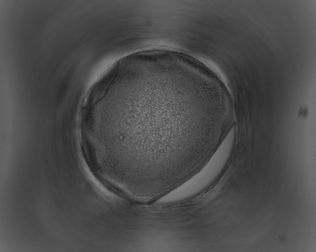 X0000091451391200708301801