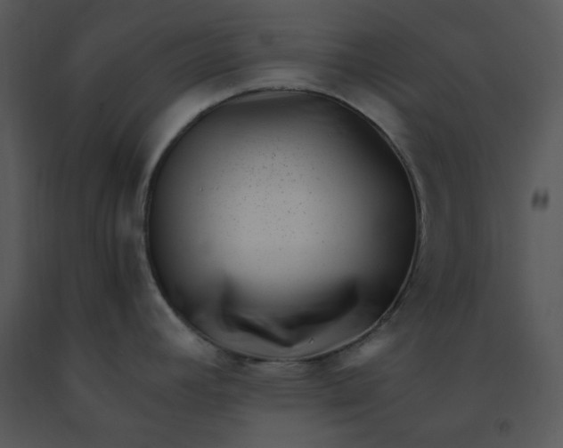 X0000091451392200708301801