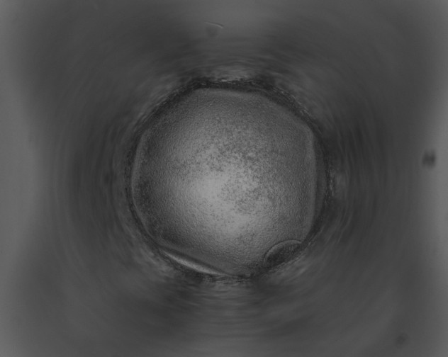 X0000091451393200708301800