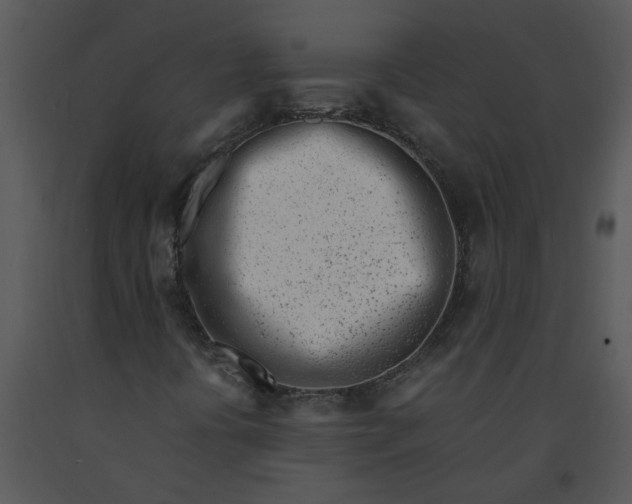 X0000091451394200708301800