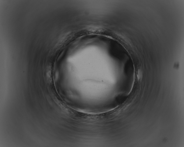 X0000091451396200708301800