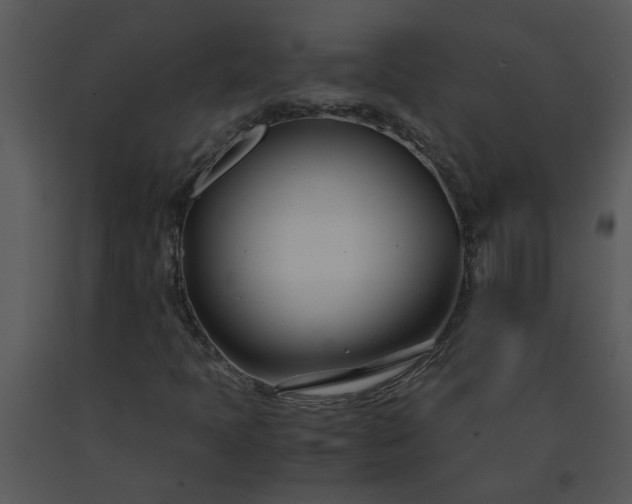X0000091451397200708301800