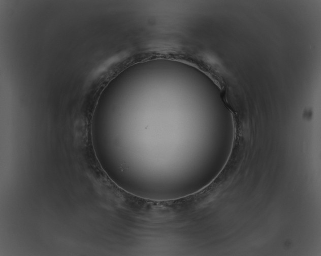X0000091451398200708301800