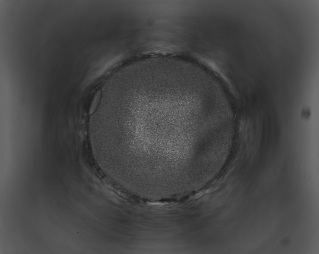 X0000091451399200708301800