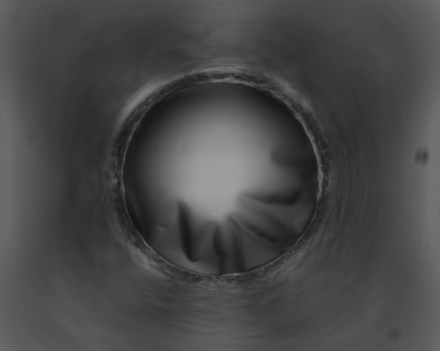 X0000091451400200708301800