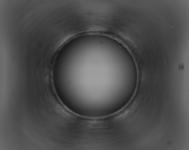 X0000091451401200708301800