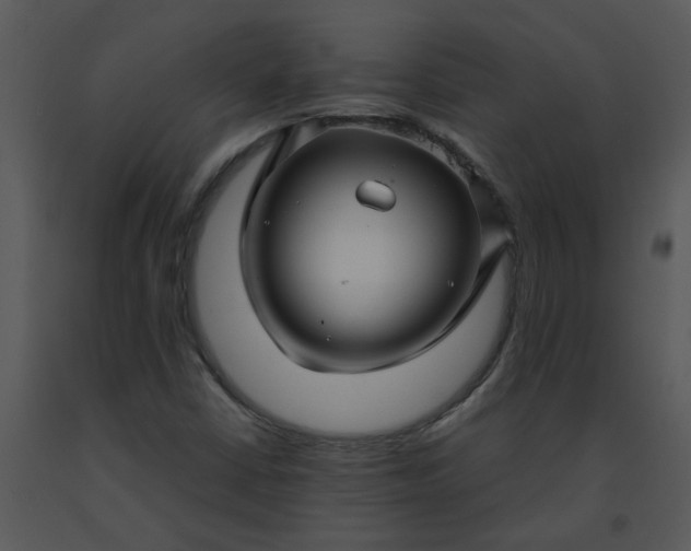 X0000091451402200708301801