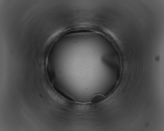 X0000091451403200708301801