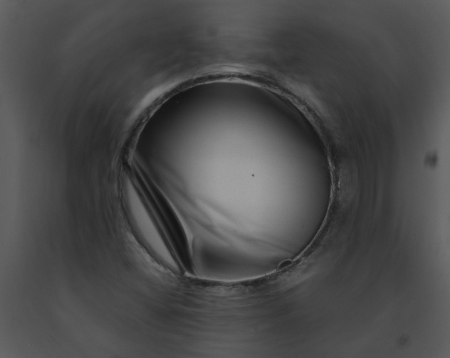 X0000091451404200708301801