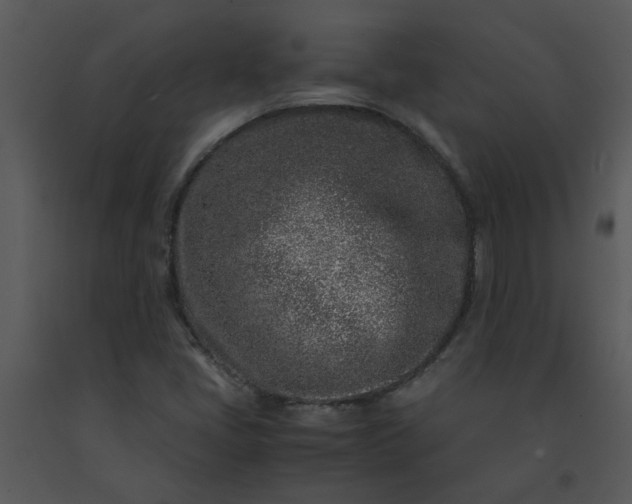 X0000091451405200708301801
