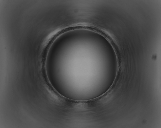X0000091451406200708301801