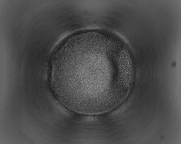 X0000091451409200708301801