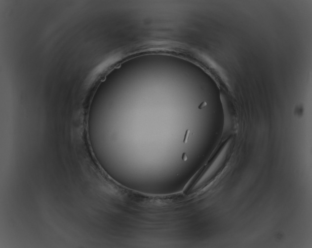 X0000091451411200708301801