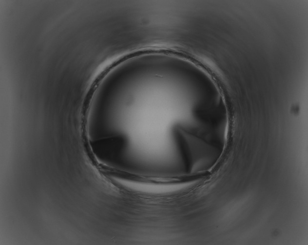 X0000091451412200708301801