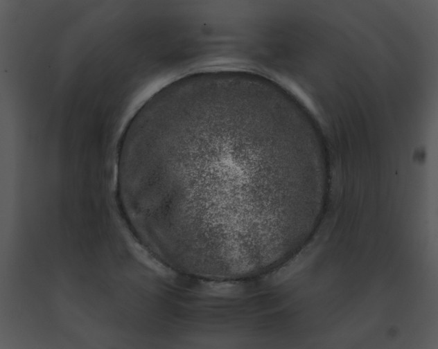 X0000091451413200708301801