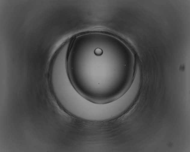 X0000091451414200708301801