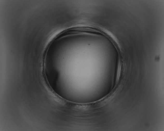 X0000091451415200708301801