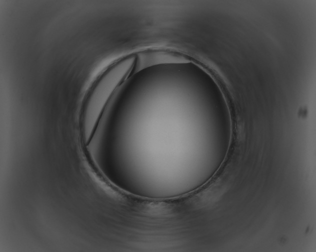 X0000091451416200708301801