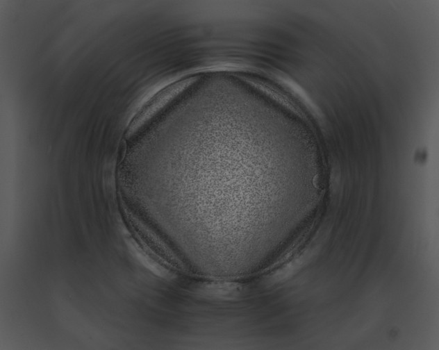 X0000091451417200708301801