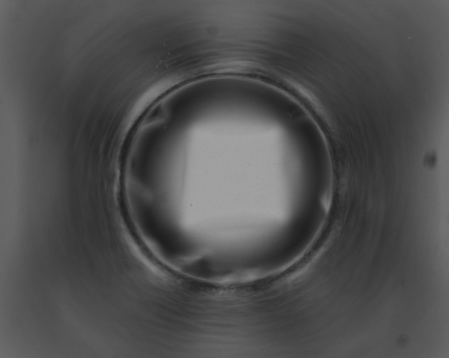 X0000091451418200708301801