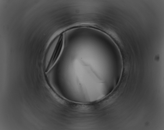 X0000091451420200708301801