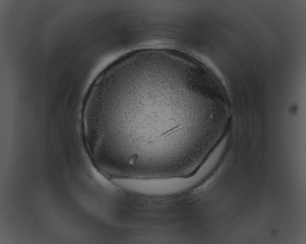 X0000091451421200708301801