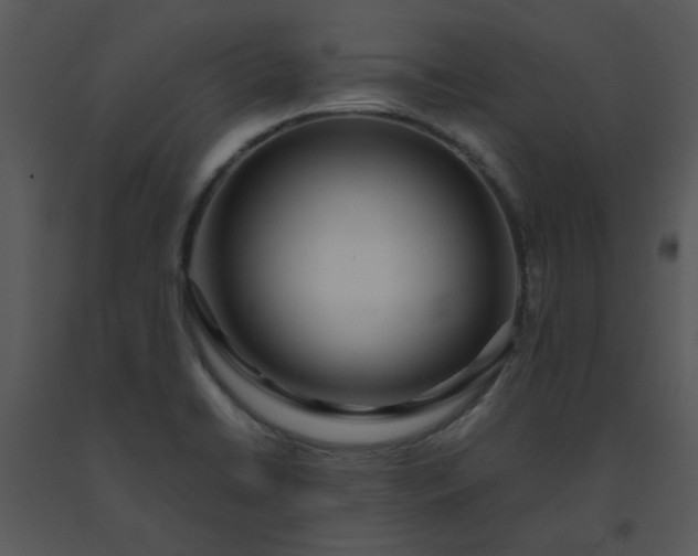 X0000091451422200708301801