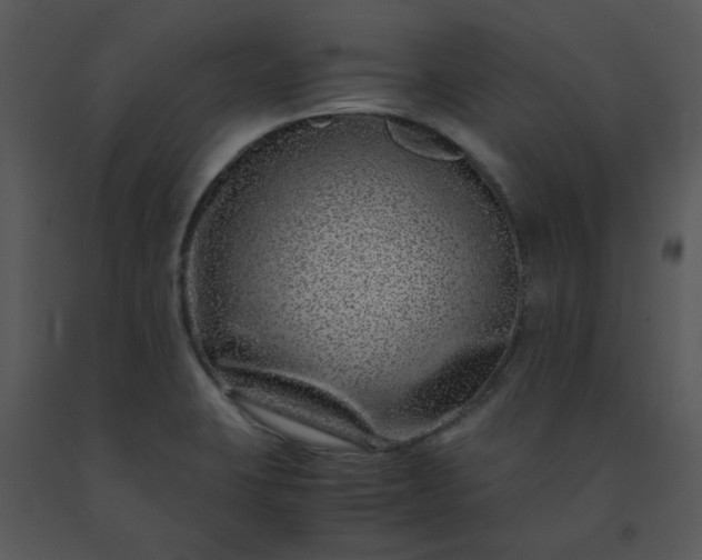 X0000091451423200708301801