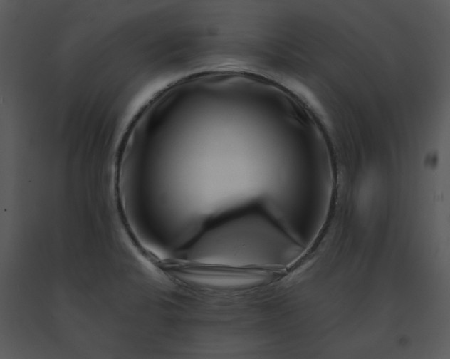 X0000091451424200708301801