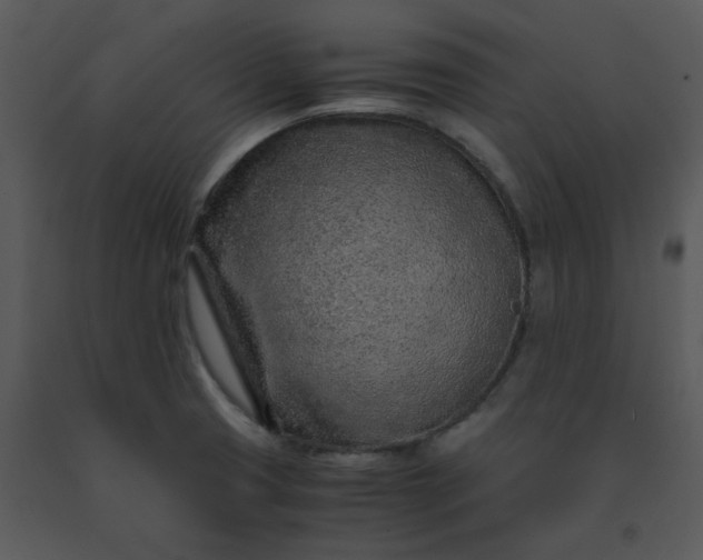 X0000091451425200708301801