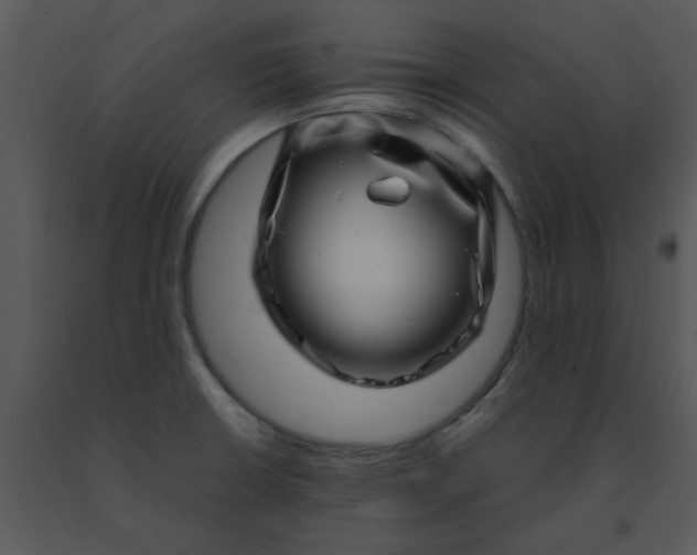 X0000091451426200708301801