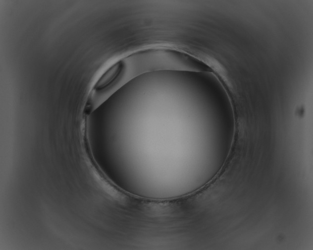 X0000091451428200708301801