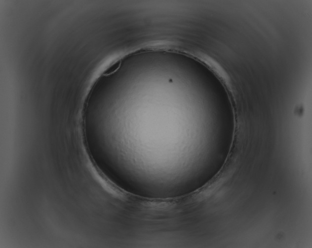 X0000091451429200708301801