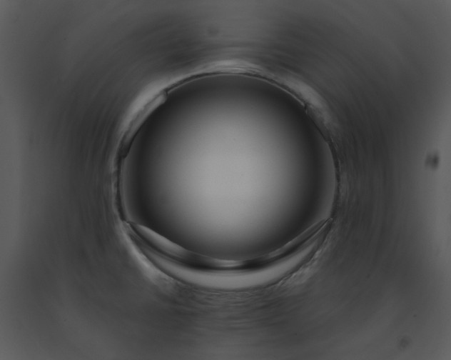 X0000091451430200708301801