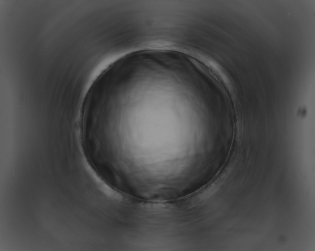 X0000091451432200708301801