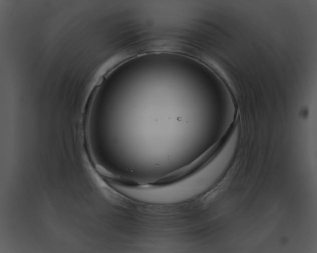 X0000091451434200708301801
