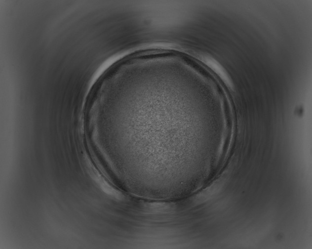 X0000091451436200708301801
