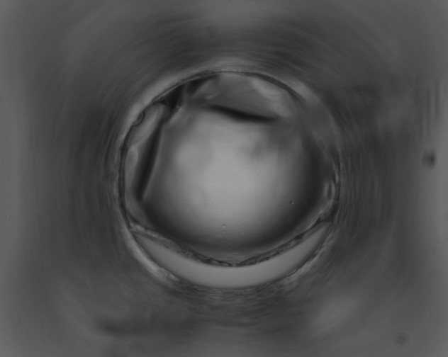 X0000091451437200708301801