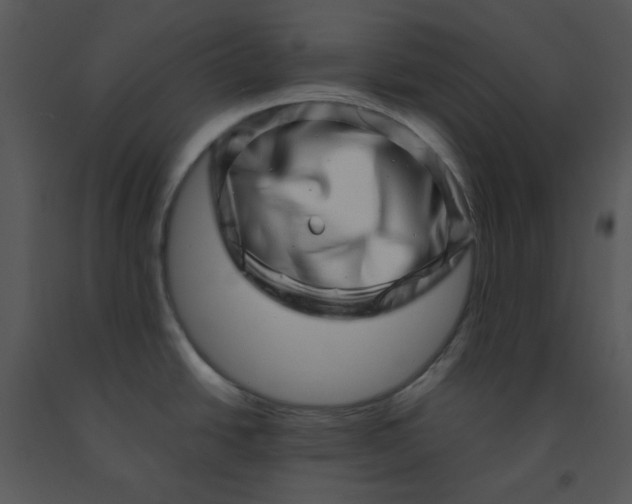 X0000091451438200708301801