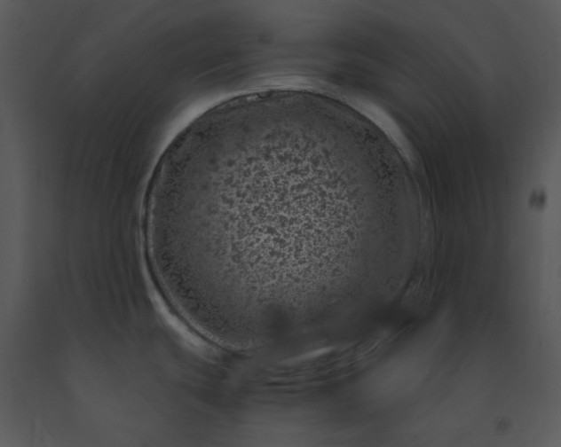 X0000091451439200708301801