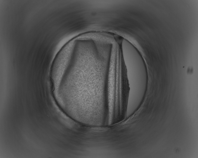 X0000091451440200708301801