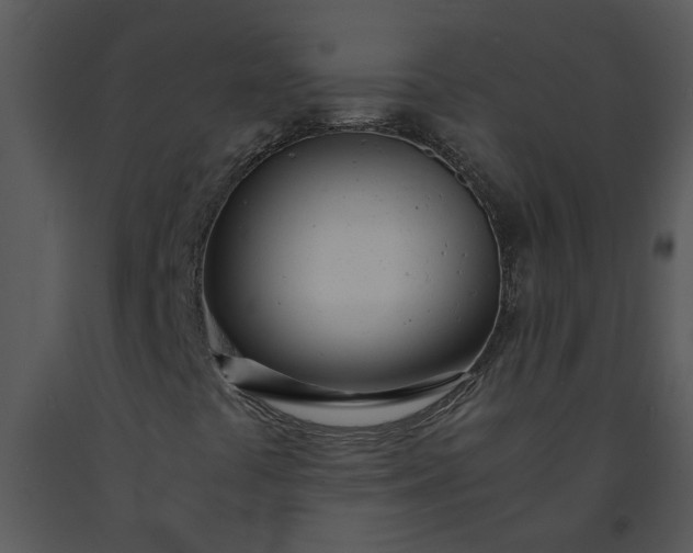 X0000091451441200708301800