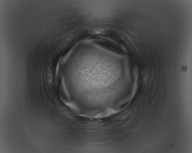 X0000091451442200708301800