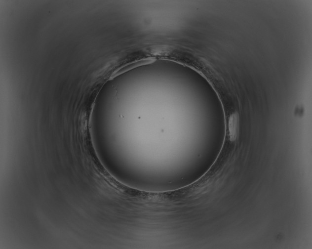 X0000091451443200708301800