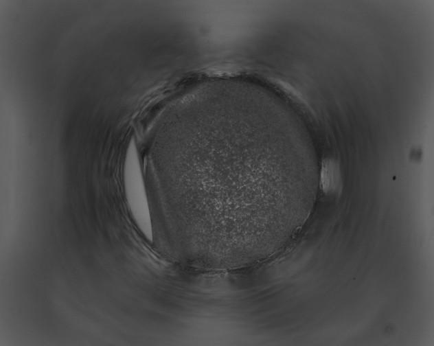 X0000091451444200708301800
