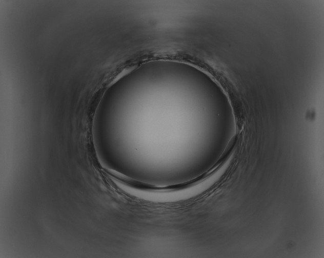 X0000091451445200708301800
