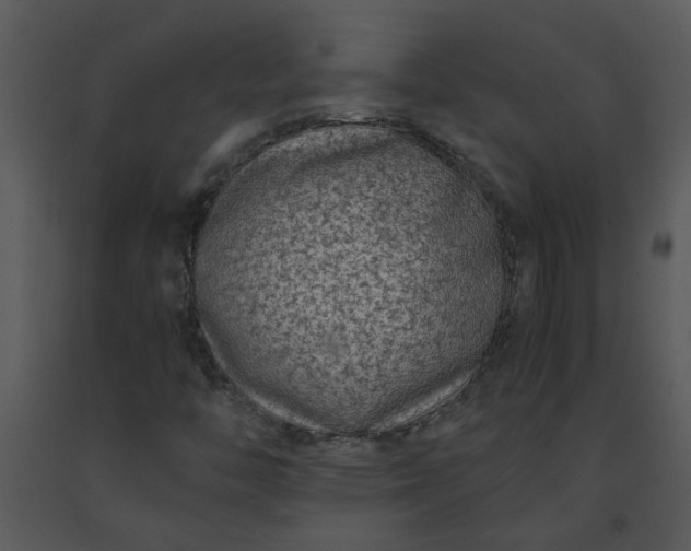 X0000091451446200708301800