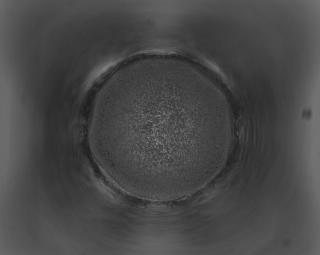 X0000091451448200708301800