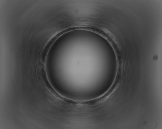 X0000091451449200708301800