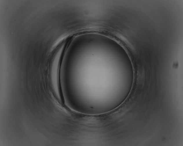 X0000091451450200708301800